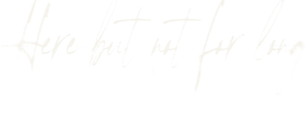 here but not for long
